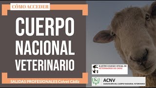 Salidas Profesionales Cuerpo Nacional Veterinario [upl. by Tallbot]