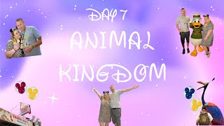 Our WDW Disneymoon Series 2023  Episode Eight  Day 7  Animal Kingdom  Tusker House  Safari [upl. by Rosenwald]