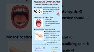 Glascow Coma Scale GCS GCS Assessment nursingschool nurshingcollege nursesbscnursing mbbs [upl. by Eanrahs]