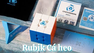 Review Haitun Waverider v1 Rubik cá heo [upl. by Ynomrah]