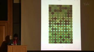 Color in Context Revisiting Albers with Anoka Faruqee [upl. by Brendan]