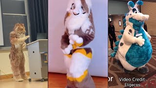 🐱 Furry Memes  Dino Mask TikToks Compilation [upl. by Isac855]