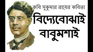 Bangla Kobita  জীবনের হিসাব  সুকুমার রায়  Jiboner Hisab  Sukumar Roy  Bengali Recitation Priti [upl. by Butler]