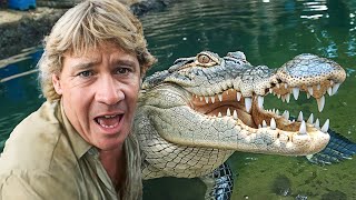 The Real Reason Behind The Crocodile Hunters Death [upl. by Maretz]