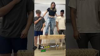 Build a Bridge Using Wooden Sticks shorts [upl. by Ierna84]