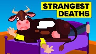 Dumbest Strangest and Most Painful Ways People Have Died Compilation [upl. by Ainitsirhc]