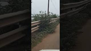 Pulicat fish yard chennai travel chennaitravellers chennaiairport shortvideo chennaitourism [upl. by Tessy64]