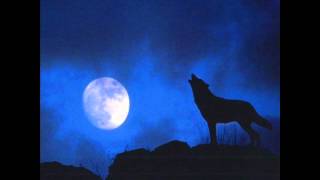 Wolf howling at night sound effect [upl. by Eibber440]