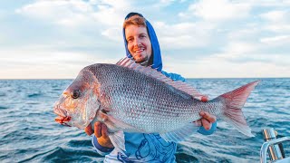 The Secret to Catching Snapper A Guide to Snapper Fishing [upl. by Lough]