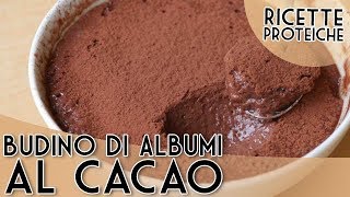 Budino di Albumi al Cacao  Ricetta Proteica [upl. by Wane]