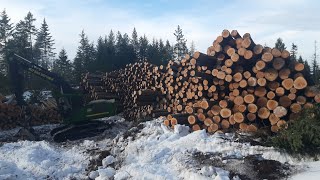 Amazing Fastest Big Wood Sawmill Machines Working At Another Level [upl. by Sherborne936]