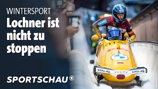 Viererbob in Yanqing BobWeltmeister Johannes Lochner setzt Traumstart fort l Sportschau [upl. by Amalbergas]