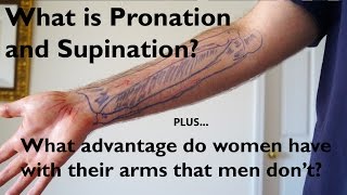 What is Pronation and Supination of the Forearm [upl. by Seen111]