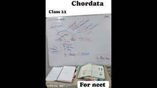 phylum  chordata for neet 2025 neet2025 neet biologyneet animalkingdomclass11chordata bio [upl. by Ling]