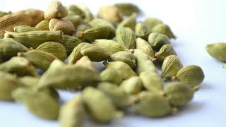 इलाइची के फायदे  Benefits of Cardamom [upl. by Ominoreg]