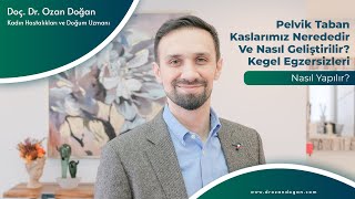 PELVİK TABAN KASLARI NEREDEDİR NASIL GELŞTİRİLİR KEGEL EGZERSİZLERİ NASIL YAPILIR [upl. by Ettenrahc471]