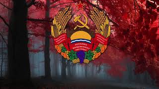 National Anthem of Transnistria  quotСлэвитэ сэ фий Нистренеquot quotWe sing the praises of Transnistriaquot [upl. by Dorran25]