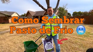 Sembrando pasto Frio Como sembrar pasto de frio [upl. by Albie388]