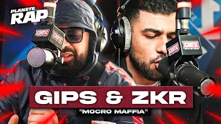 EXCLU Gips feat Zkr  Mocro Maffia PlanèteRap [upl. by Einaej]