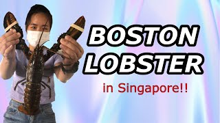 Catching Boston Lobster in Singapore FishAMK [upl. by Charlotte646]