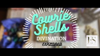 🔮🐚 Cowrie Shells  Divination Explained 🐚🔮✨ [upl. by Ylatan]