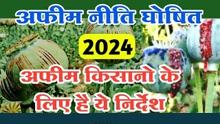 अफीम नीति 2024 घोषित अफीम किसानो के लिए है ये निर्देश  opium niti 2024  afim kissan  afim kisaan [upl. by Ojillek244]