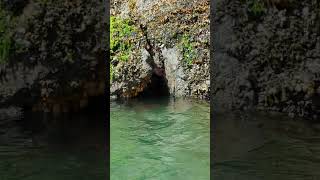 Complex shores in Gwaii Haanas National Park kayaking in a west coast inlet🥰 [upl. by Kcired]