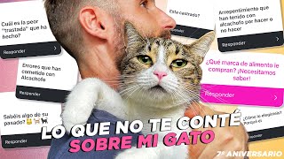 LO QUE NUNCA TE CONTÉ SOBRE MI GATO ALCACHOFO🐯 🐾 Preguntas y respuestas⁉️ Especial 7º aniversario 🎉 [upl. by Marko556]