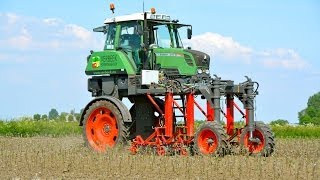 Special FENDT 310 Vario High Clearance  Hoeing apple trees [upl. by Zorah]