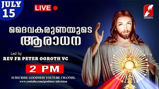 JULY 15ദൈവകരുണയുടെ ആരാധനKaruna konthaFR PETER OOROTH VCADORATIONDIVINE AradhanaGOODNESS TV [upl. by Bourgeois]