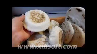 pita bread libanais pain ou batbout facile خبز اللبناني او البطبوط [upl. by Euqina435]