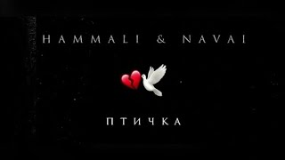 HammAli amp Navai  Птичка [upl. by Proulx]