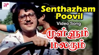 Mullum Malarum Tamil Movie Video Songs  Senthazham Poovil Video Song  Rajinikanth  Sarath Babu [upl. by Marduk233]