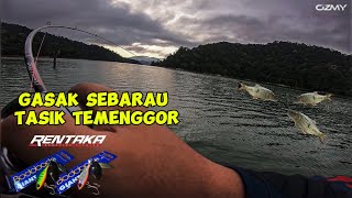 38 BANYAK GILER SEBARAU TASIK TEMENGGOR NI  RENTAKA BODOBODO [upl. by Almeida]