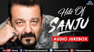 Enjoy Songs Of Sanju  Hindi Songs  JUKEBOX  90s Evergreen Songs [upl. by Sirk37]