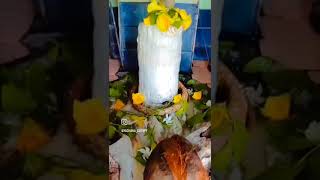 डोंगेश्वर महादेव मंदिरcgvlogger cutiipy yachana vlog dailyshorts [upl. by Ameerahs]