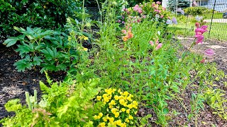 Winter Sown A Walk Through the Cut Flower Garden [upl. by Erbas]