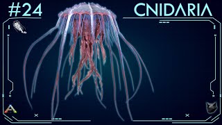 TODO SOBRE LA CNIDARIA 24  ARK Survival Evolved  Dossiers La Isla [upl. by Kearney]