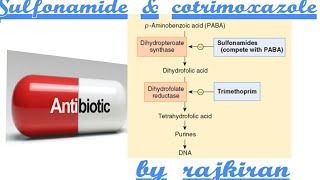 Sulfonamide and cotrimoxazole [upl. by Averir]