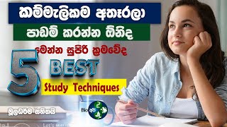 වැඩි ලකුණු ගන්න මෙහෙම පාඩම් කරන්න  5 best Study TechniQues amp Tips in Sinhala Bio Api [upl. by Dranoc]