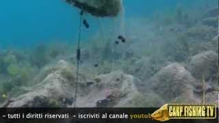 Come PESCARE con un SACCHETTINO in PVA parte 2di2  CarpFishing TV [upl. by Ahsiuqat]