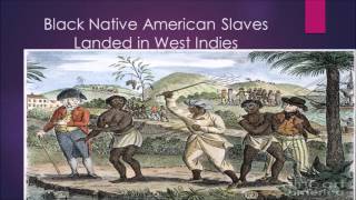 Indian Triangular Slave Trade [upl. by Ecreip]