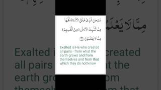 surah Yaseen with English translation allahuakbar alhamdulillah shorts ytshorts translation [upl. by Rufena]