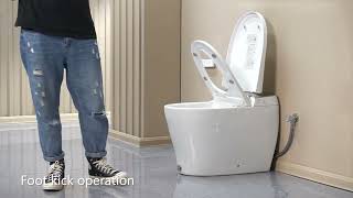 Casta Diva CDY060 Smart Toilet with Builtin Tank [upl. by Puglia]