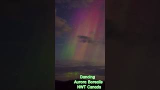 Dancing Aurora Borealis  Canada shorts aurora mountains river [upl. by Llewoh]