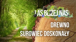 Las bliżej nas  Drewno  surowiec doskonały [upl. by Frieder]