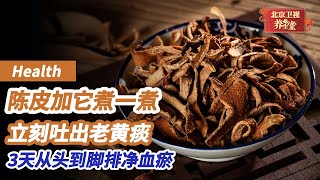 痰瘀不除血管越来越堵！国医大师自用茶饮，陈皮加它煮一煮，立刻吐出老黄痰，从头到脚化血瘀《养生堂》 [upl. by Nesaj44]