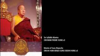 Essence of Secret Mantras  HH Penor Rinpoche 密咒精化 本尊诸佛菩萨心咒 貝諾法王 [upl. by Mcdade893]