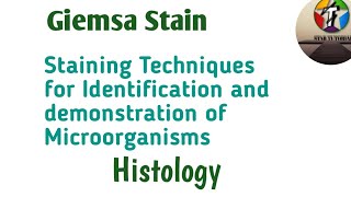 Giemsa Stain ll Staining Techniques for Identification and demonstrate of Microorganisms llHistology [upl. by Akerue]