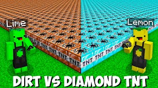 What if you LIGHT 1000 DIAMOND TNT VS 1000 DIRT TNT in Minecraft  LEMON VS LIME TNT BATTLE [upl. by Dodie]